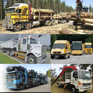Transport & Fleet